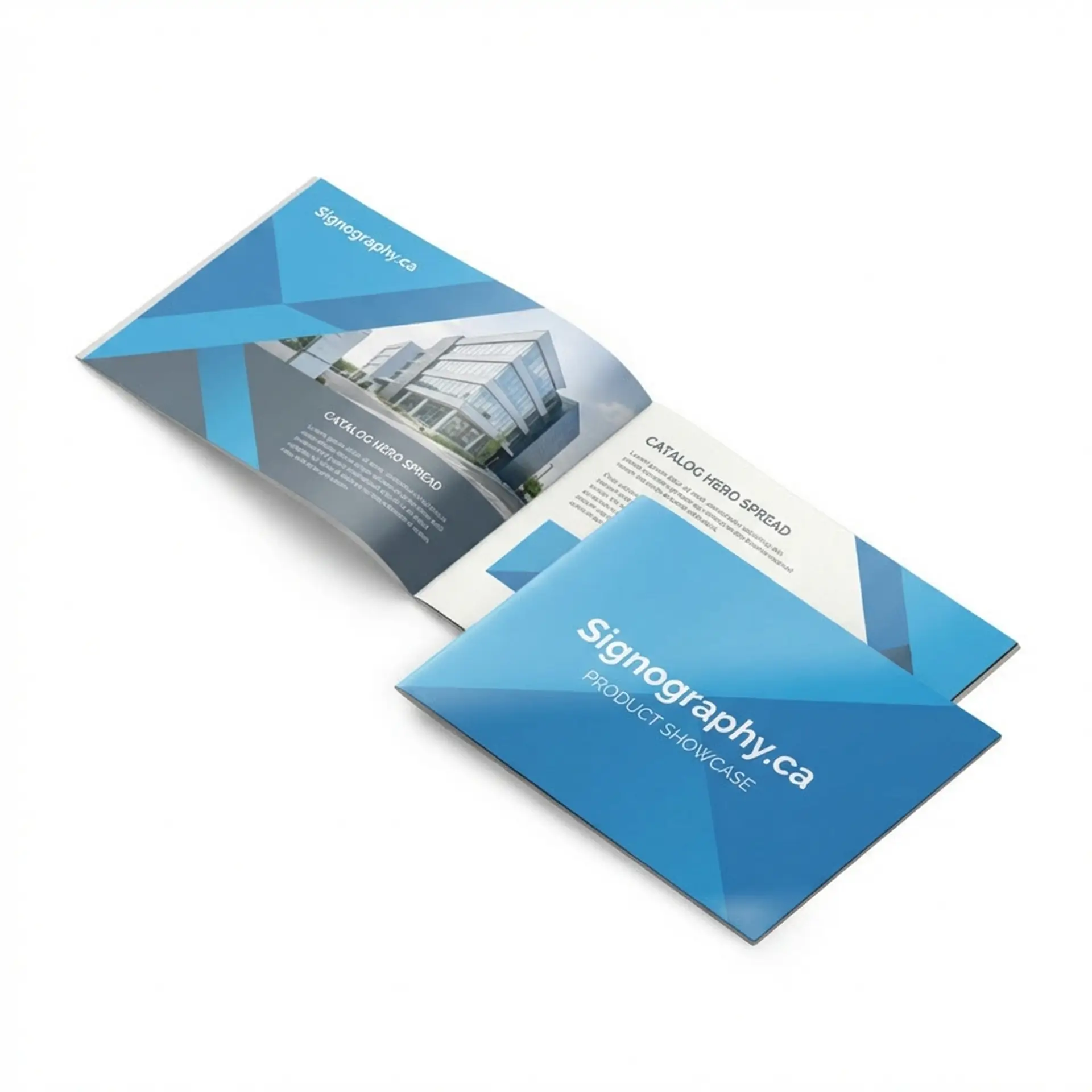 Custom 8.5 x 5.5 Booklet 100lb Silk Text