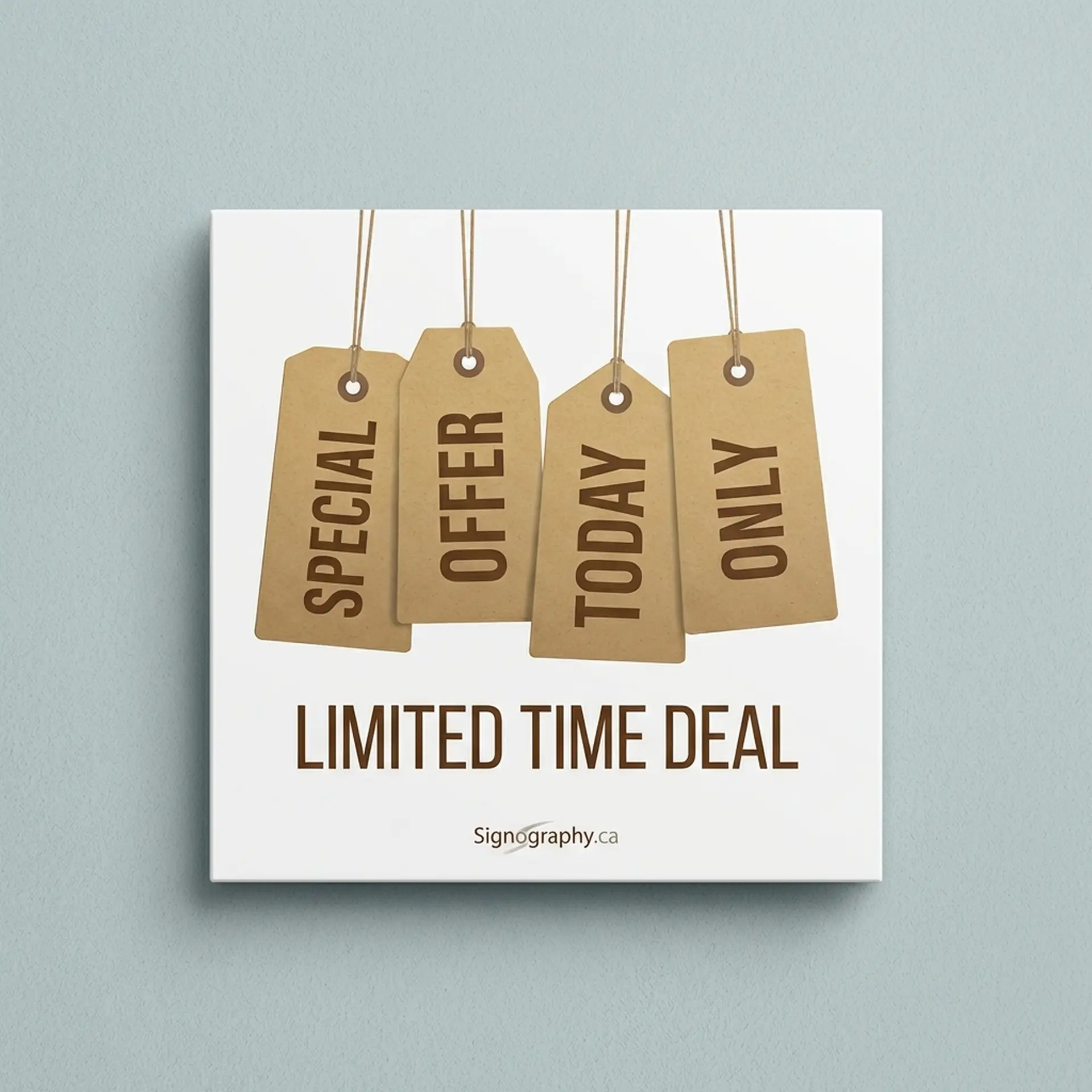 24pt Display Board - Gloss C2S POP Signage